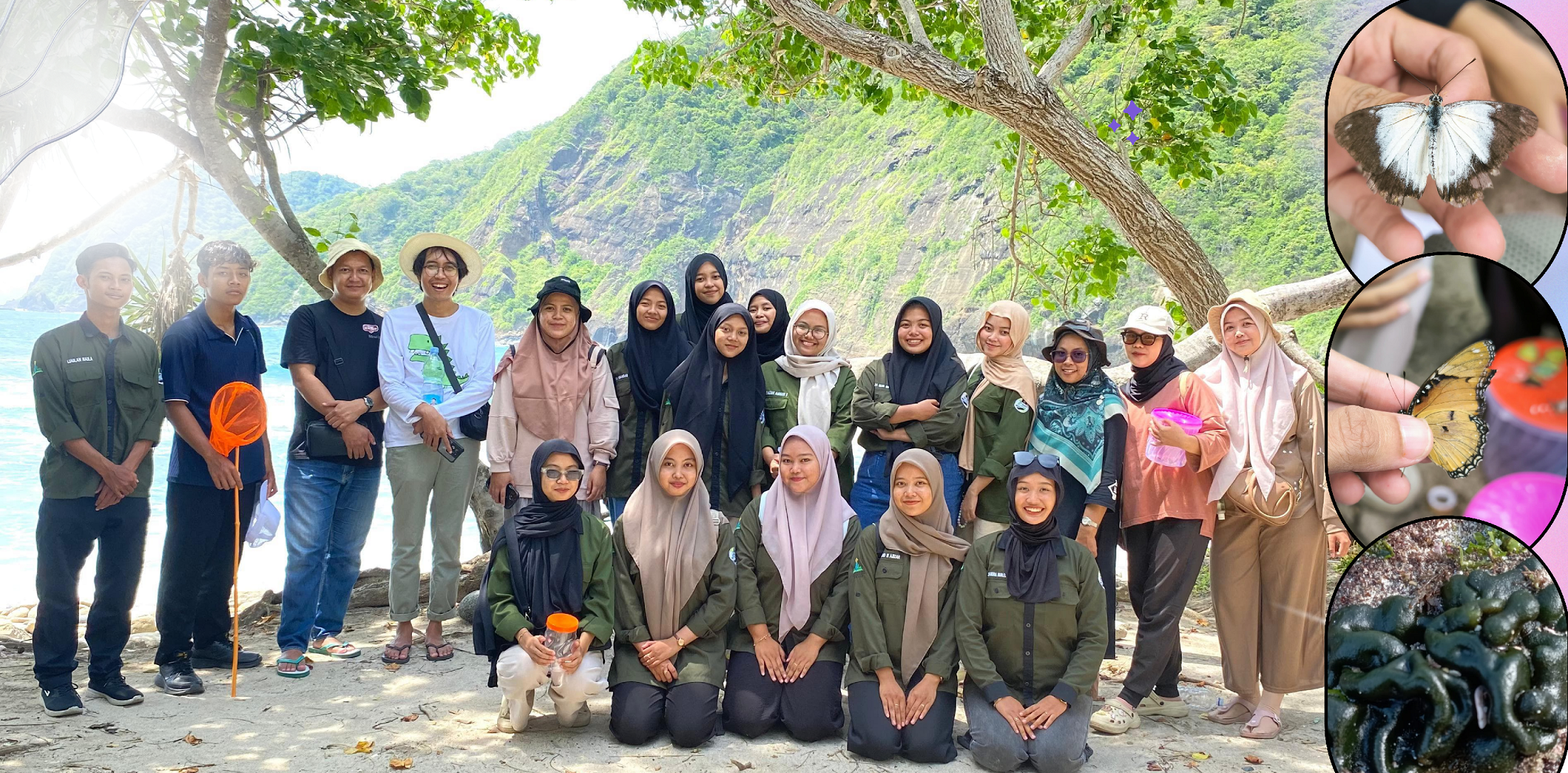 Mahasiswa Identifikasi Biodiversitas Alga dan Kupu-Kupu di Pantai Papuma